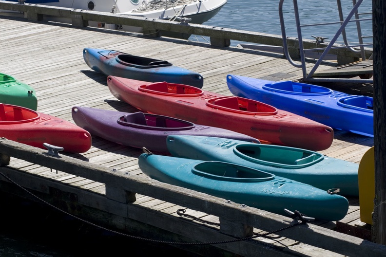 313-1546 Kayaks on Dock.jpg